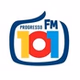 Rádio Progresso 101.1 FM logo