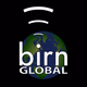 Logo de The BIRN - BIRN Global