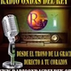 Radio Ondas del Rey logo