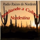 Rádio Raízes Do Nordeste logo