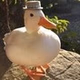 Quack FM logo