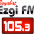 Boyabat Radyo Ezgi FM logo