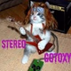 Radio Stereo Gotoxy logo