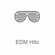 Logo de Radio Record - EDM Classics