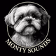 Logo de Monty Sounds Radio