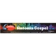 Logo de Radio Sintonia Gospel FM