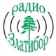 Радио Златибор logo