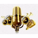 Logo de Radio Gold