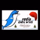 Delvin Radio - Christmas logo