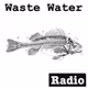 wastewatermusic logo