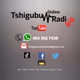 Logo de Tshigubu Online Radio