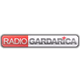 Радио Гардарика logo