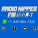 Radio Nippes FM 100.5 logo