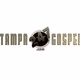 Tampa247Gospel logo