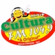 Rádio Cultura FM 104,9 logo