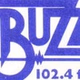 Buzz FM logo