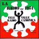 Logo de Radio Valle Camonica