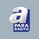 Radyo Turkuvaz - A Para Radyo logo