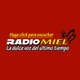 Radio Miel Puerto Rico logo