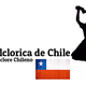Logo de Radio Folclorica de Chile