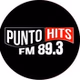 Punto Hits FM 89.3 logo