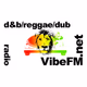 Logo de VibeFM.net