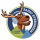 Radio Evergreen logo