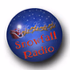 Snowfall Radio logo