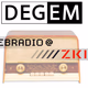 Logo de DEGEM Web Radio