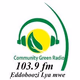 Logo de Community Green Radio