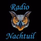 Radio Nachtuil logo