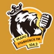 Радио Ульяновск ФМ logo
