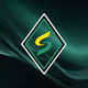 Logo de SpringTooh7832 Radio Station