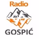 Radio Gospić logo