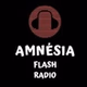 Amnesia Flash Radio logo