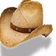 Logo de Cowboy One