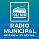 Logo de Radio Municipal