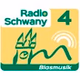 Radio Schwany - Blasmusik logo