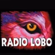 Radio Lobo 97.7 - KLVO logo