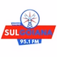 Rádio Sul Goiana logo
