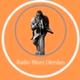 Radio Blues Djerdan logo