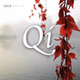 Calm Radio - Qi logo