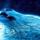 Logo de Partywolf