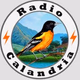 Logo de Radio Calandria