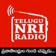 Logo de Telugu NRI Radio