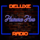 Logo de Deluxe Radio - Flamenco Flow
