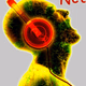 Logo de Netmuse