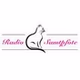Katzenwelle logo
