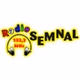 Radio Semnal logo