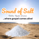 Logo de Sound of Salt